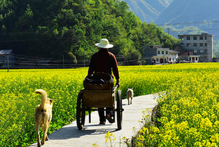 �l�F��ϣ����g����ˮȪƺ