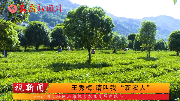 ҕ��������÷��Ո���ҡ����r�ˡ�