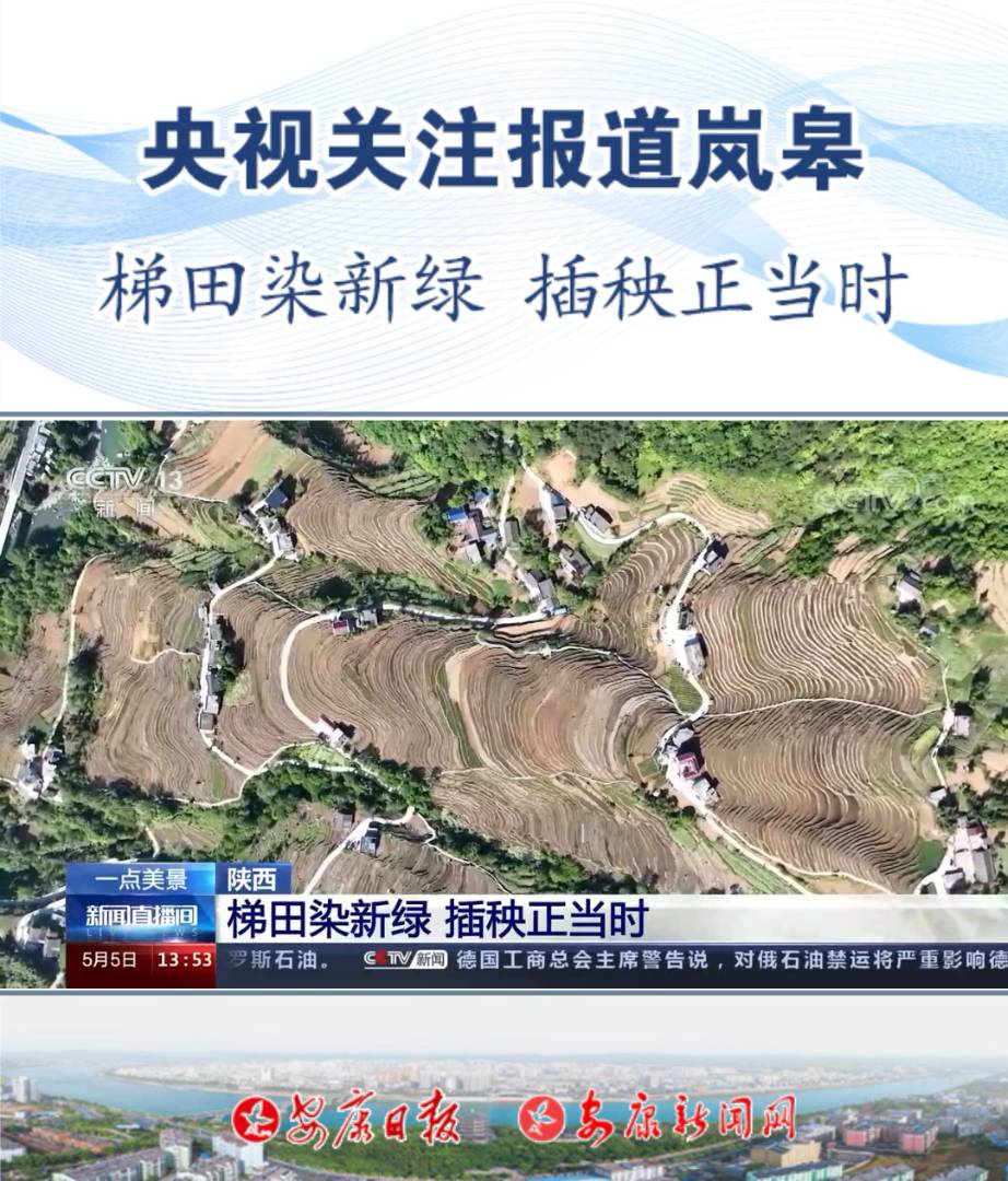 央視關(guān)注報(bào)道嵐皋縣南宮山鎮(zhèn)桂花村——“梯田染新綠 插秧正當(dāng)時(shí)”。
