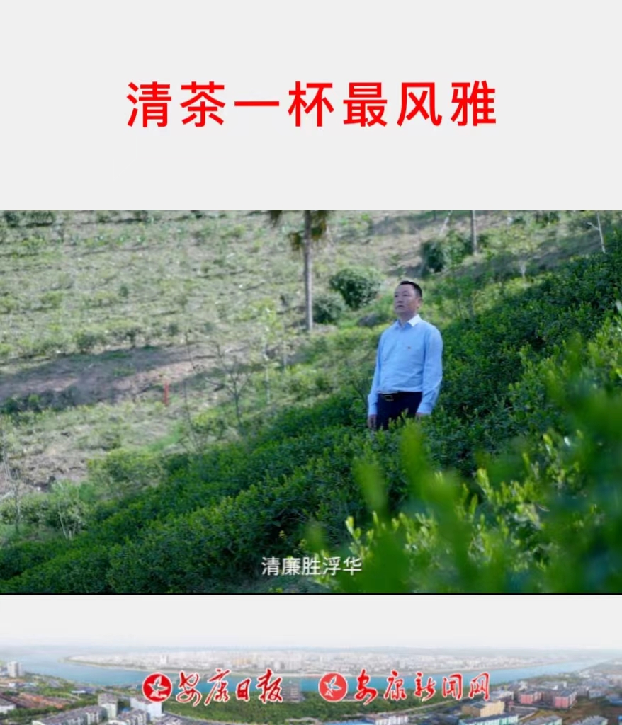 清茶一杯最風(fēng)雅——嵐皋縣官元鎮(zhèn)黨委書記陳守寶帶您品嵐皋富硒茶!