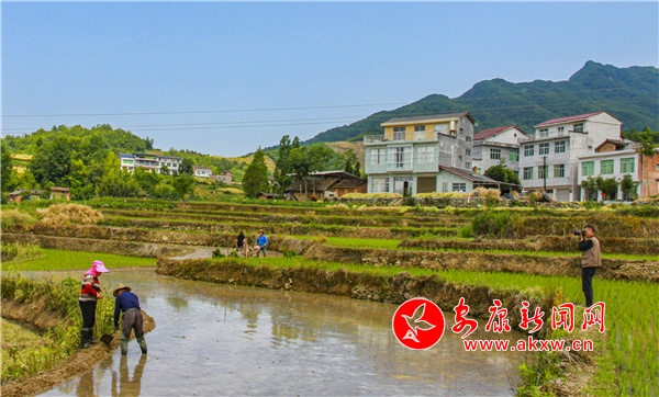 �h��P�߹����� �����ræ�����r