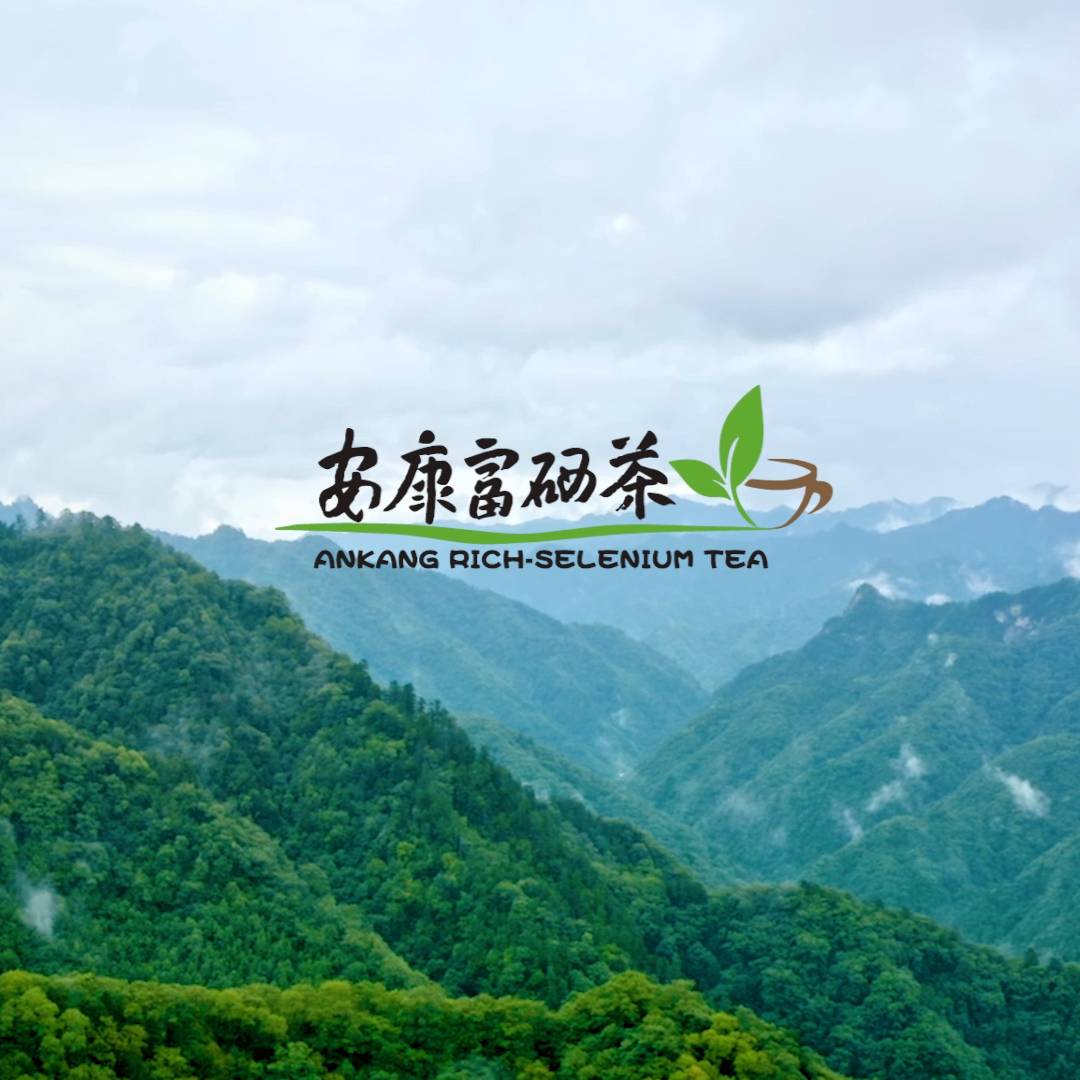 ��������������Ƭ��