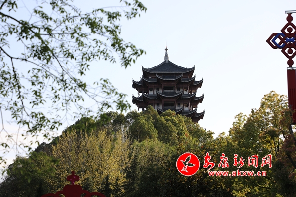 ��ɫ�M�ǵ����