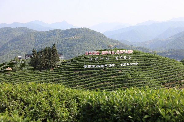 2023�����H���ա��Ї���������ڼ� ����늾Wȫ�������