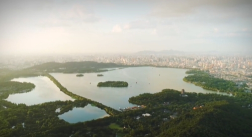 ���c��������x