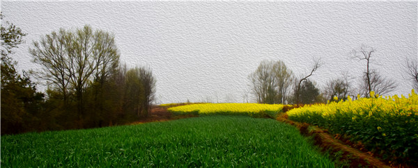 �����N��