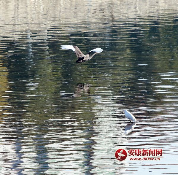 �h��˹������˺����Z