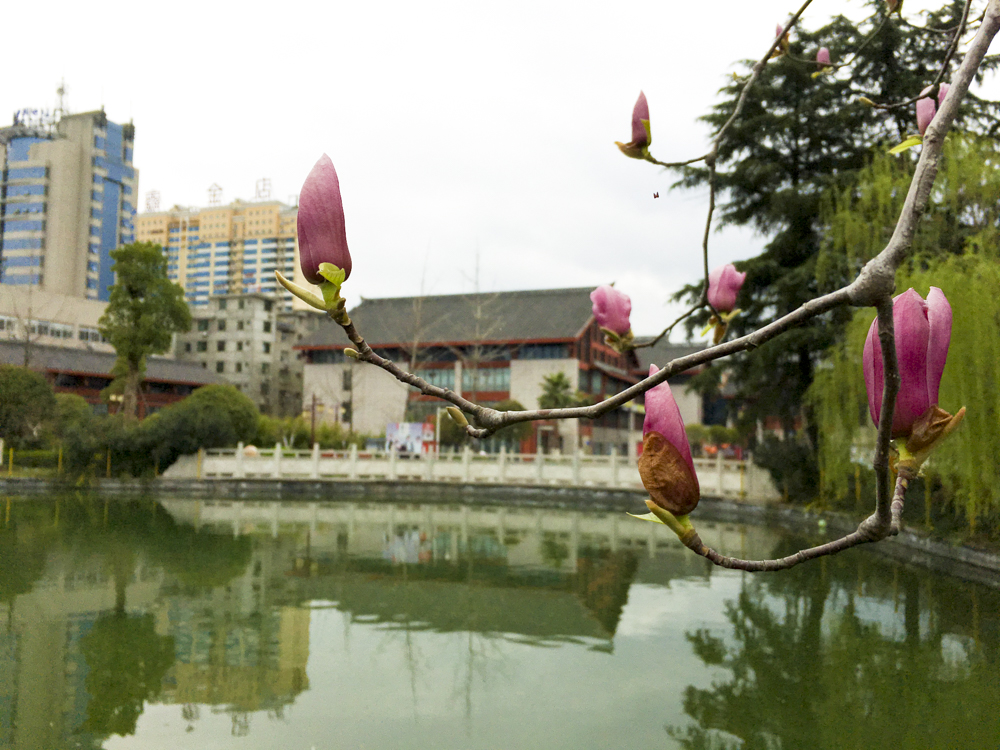 ����������������