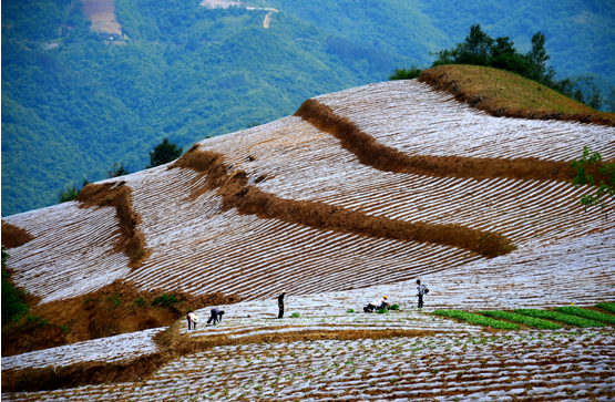 ʯȪ��Ϫ��߸G��