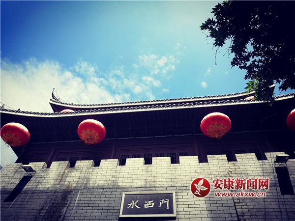 �����{(l��n)